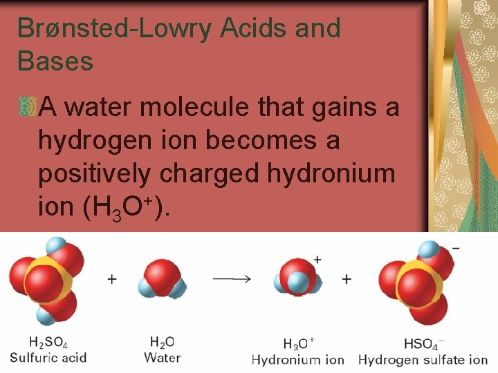 19. 1 Brønsted-Lowry Acids and Bases A water molecule that gains a hydrogen ion