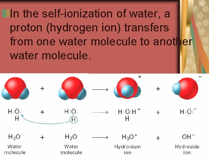 19. 2 In the self-ionization of water, a proton (hydrogen ion) transfers from one