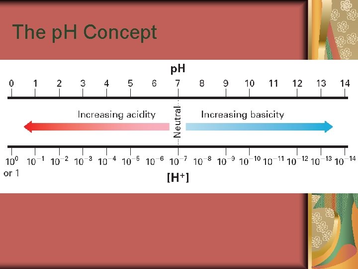 19. 2 The p. H Concept p. H and Significant Figures 