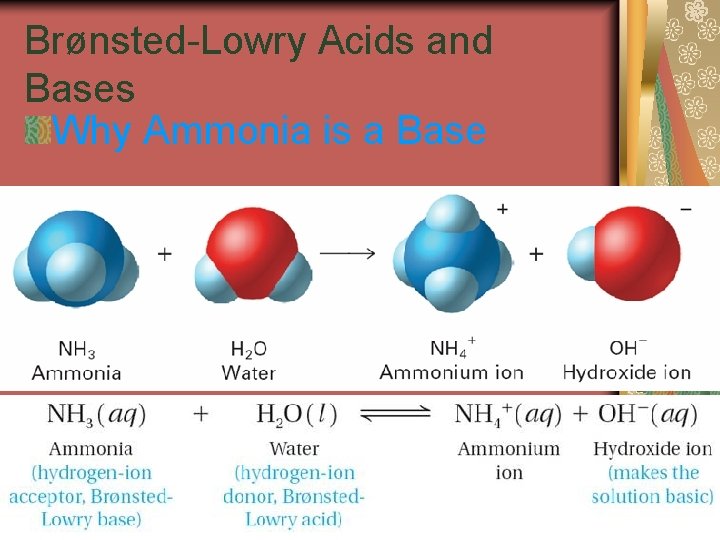 19. 1 Brønsted-Lowry Acids and Bases Why Ammonia is a Base 