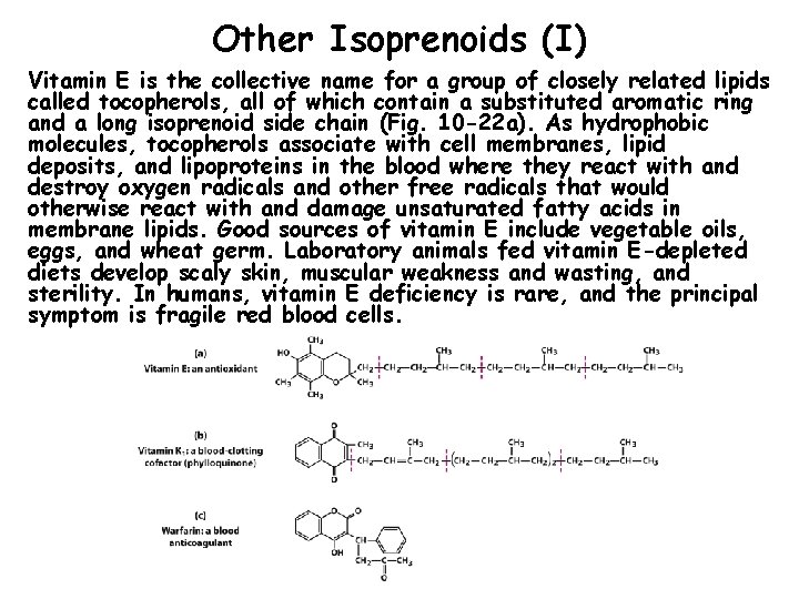 Other Isoprenoids (I) Vitamin E is the collective name for a group of closely