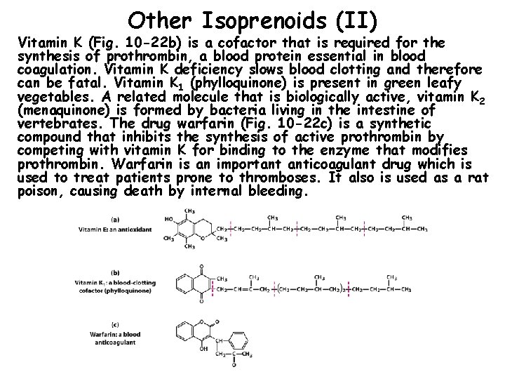 Other Isoprenoids (II) Vitamin K (Fig. 10 -22 b) is a cofactor that is