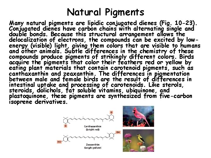 Natural Pigments Many natural pigments are lipidic conjugated dienes (Fig. 10 -23). Conjugated dienes