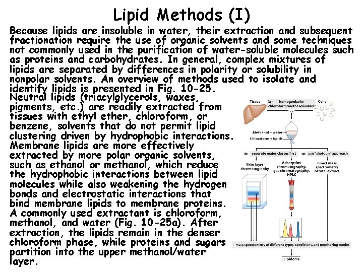 Lipid Methods (I) Because lipids are insoluble in water, their extraction and subsequent fractionation