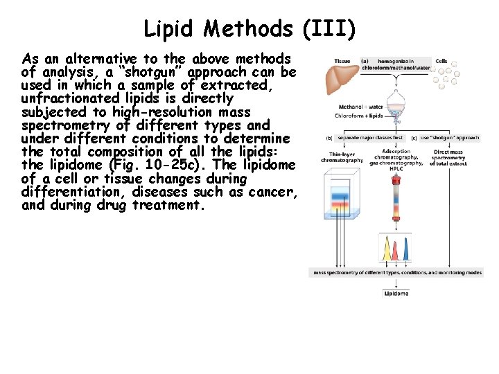 Lipid Methods (III) As an alternative to the above methods of analysis, a “shotgun”