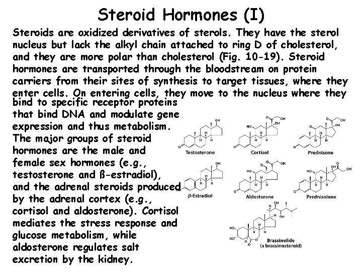 Steroid Hormones (I) Steroids are oxidized derivatives of sterols. They have the sterol nucleus