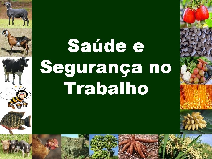 Saúde e Segurança no Trabalho 