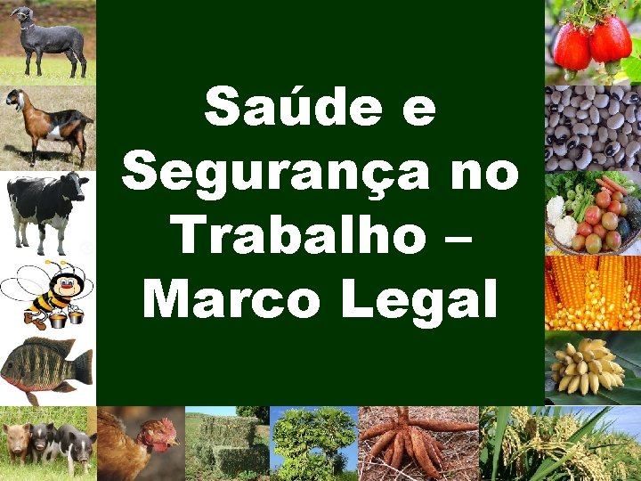 Saúde e Segurança no Trabalho – Marco Legal 