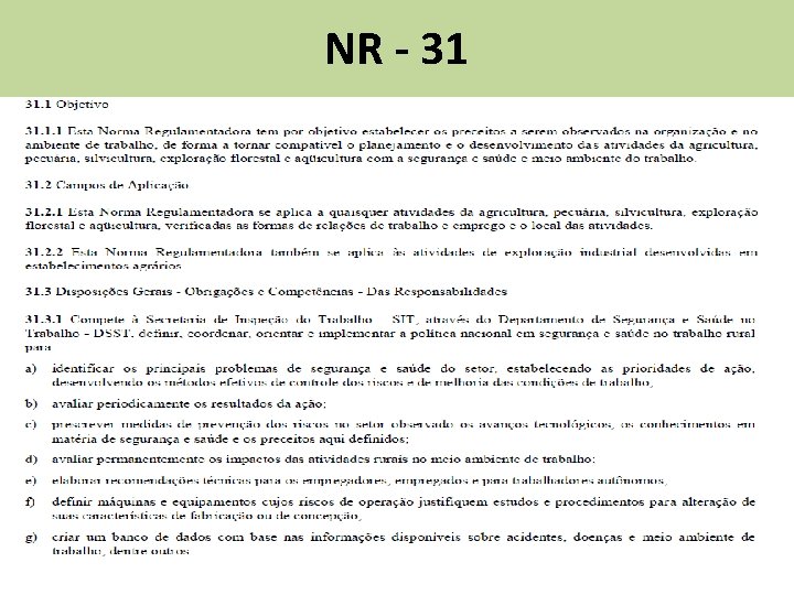 NR - 31 