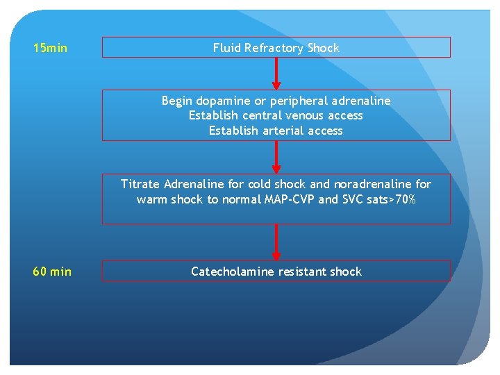 15 min Fluid Refractory Shock Begin dopamine or peripheral adrenaline Establish central venous access