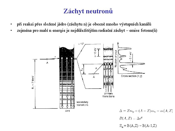 Záchyt neutronů • • při reakci přes složené jádro (záchytu n) je obecně mnoho Záchyt neutronů • • při reakci přes složené jádro (záchytu n) je obecně mnoho