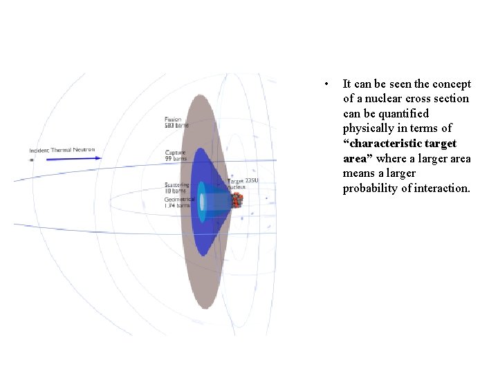 • It can be seen the concept of a nuclear cross section can • It can be seen the concept of a nuclear cross section can