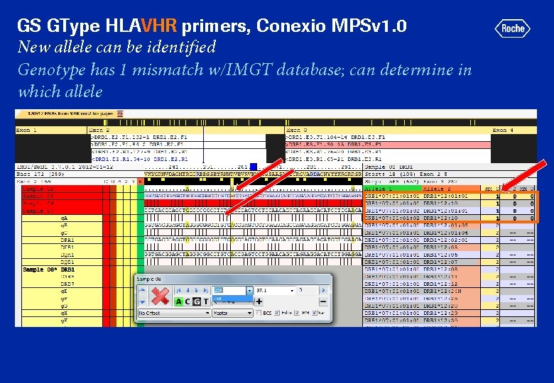 GS GType HLAVHR primers, Conexio MPSv 1. 0 New allele can be identified Genotype