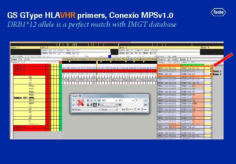 GS GType HLAVHR primers, Conexio MPSv 1. 0 DRB 1*12 allele is a perfect