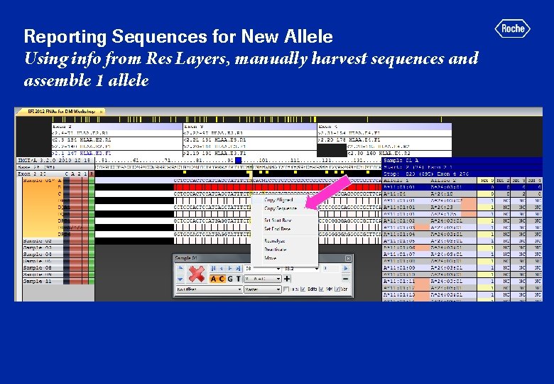 Reporting Sequences for New Allele Using info from Res Layers, manually harvest sequences and