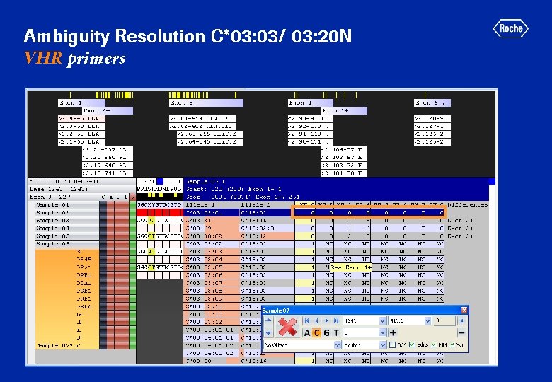 Ambiguity Resolution C*03: 03/ 03: 20 N VHR primers 