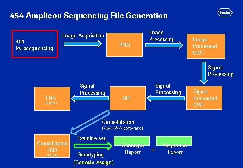 454 Amplicon Sequencing File Generation 454 Pyrosequencing Image Acquisition PNG Image Processing Image Processed