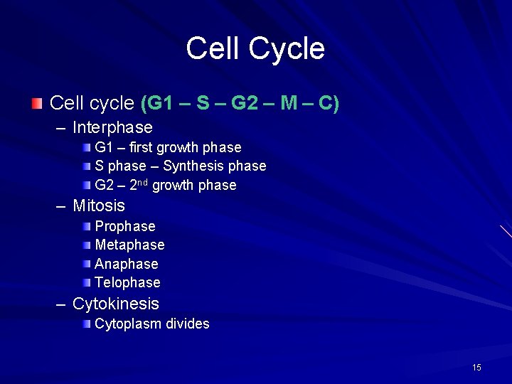 Cell Cycle Cell cycle (G 1 – S – G 2 – M –