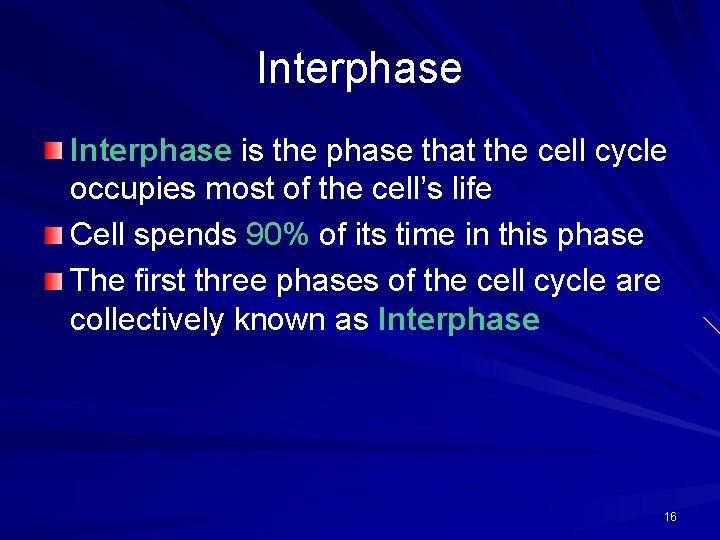 Interphase is the phase that the cell cycle occupies most of the cell’s life