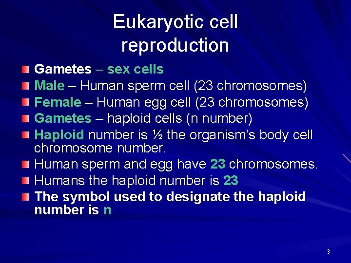Eukaryotic cell reproduction Gametes – sex cells Male – Human sperm cell (23 chromosomes)