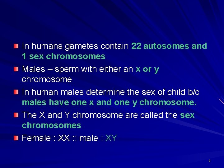In humans gametes contain 22 autosomes and 1 sex chromosomes Males – sperm with