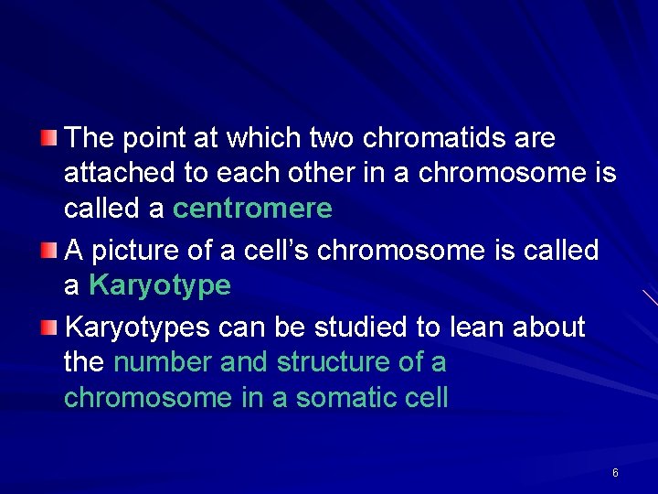 The point at which two chromatids are attached to each other in a chromosome