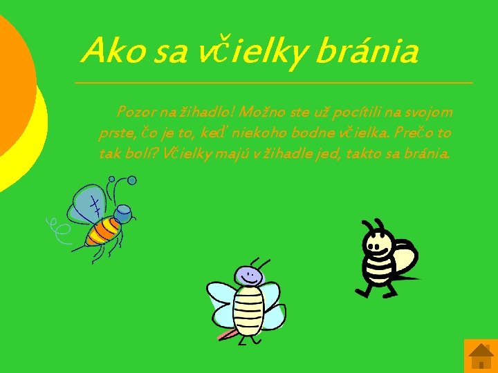 Ako sa včielky bránia Pozor na žihadlo! Možno ste už pocítili na svojom prste,