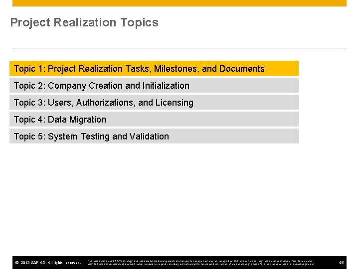 Project Realization Topics Topic 1: Project Realization Tasks, Milestones, and Documents Topic 2: Company