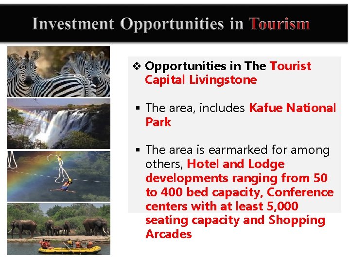 v Opportunities in The Tourist Capital Livingstone § The area, includes Kafue National Park