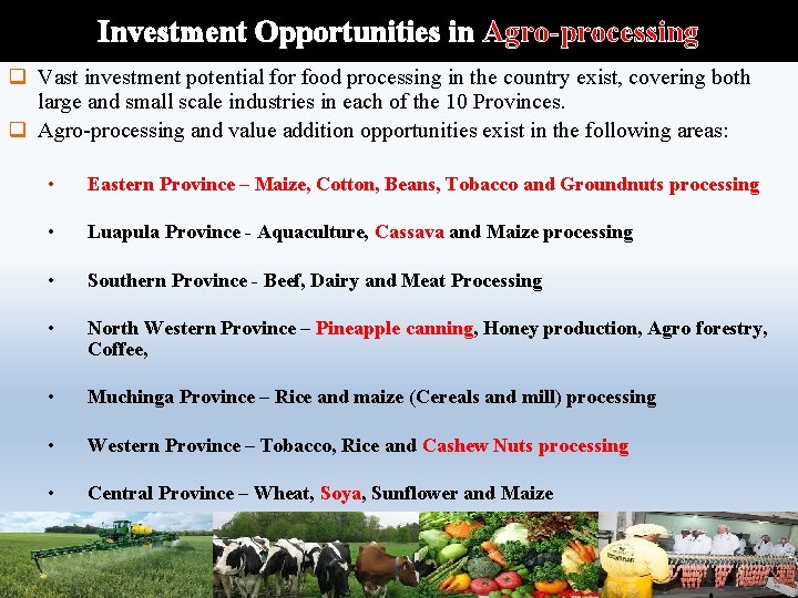 Investment Opportunities in Agro-processing q Vast investment potential for food processing in the country