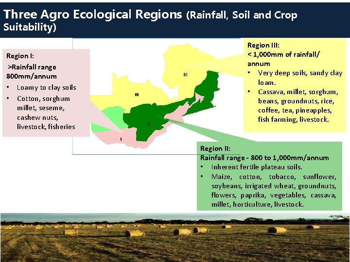 Three Agro Ecological Regions (Rainfall, Soil and Crop Suitability) Region I: >Rainfall range 800