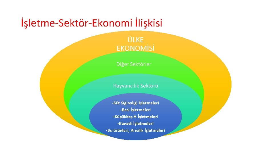 İşletme-Sektör-Ekonomi İlişkisi ÜLKE EKONOMİSİ Diğer Sektörler Hayvancılık Sektörü -Süt Sığırcılığı İşletmeleri -Besi İşletmeleri -Küçükbaş