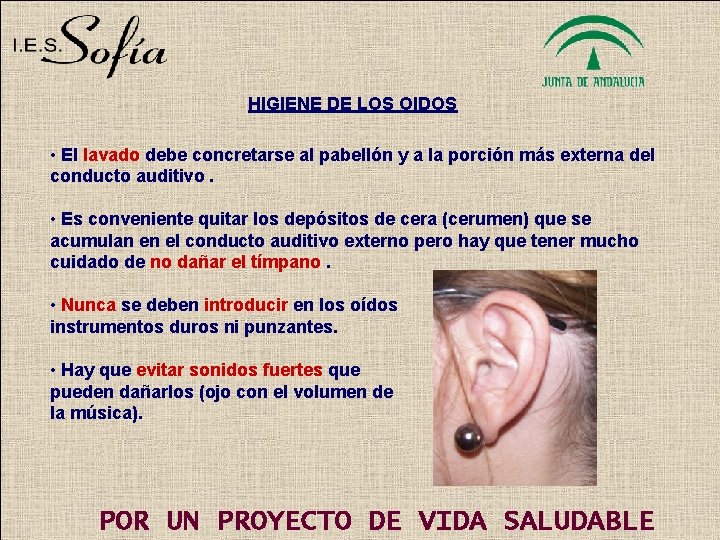 HIGIENE DE LOS OIDOS • El lavado debe concretarse al pabellón y a la