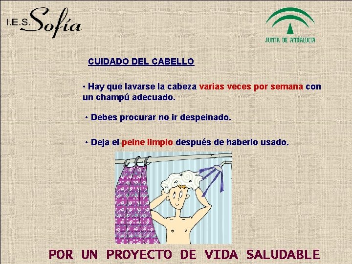 CUIDADO DEL CABELLO • Hay que lavarse la cabeza varias veces por semana con