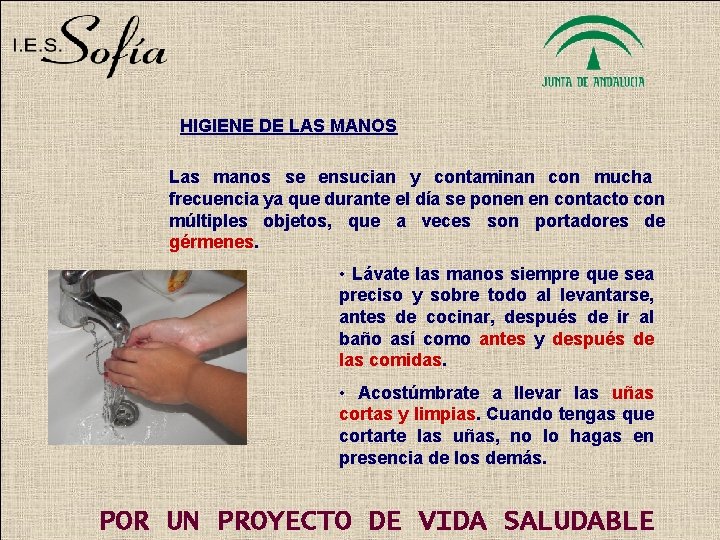 HIGIENE DE LAS MANOS Las manos se ensucian y contaminan con mucha frecuencia ya