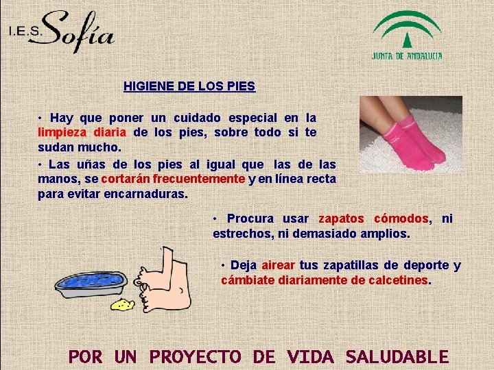 HIGIENE DE LOS PIES • Hay que poner un cuidado especial en la limpieza