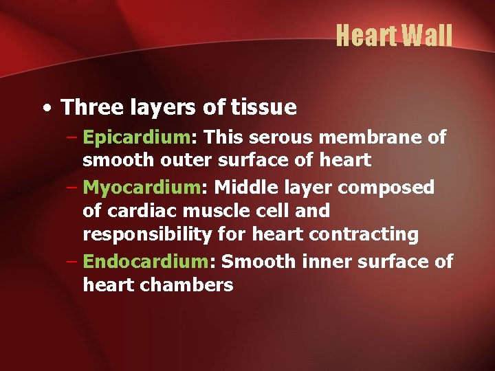 Heart Wall • Three layers of tissue – Epicardium: This serous membrane of smooth