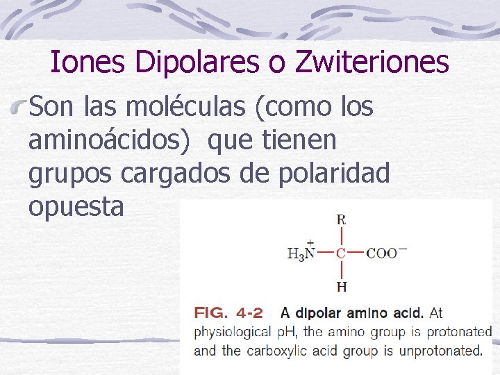 Iones Dipolares o Zwiteriones Son las moléculas (como los aminoácidos) que tienen grupos cargados