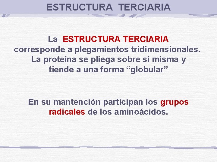 ESTRUCTURA TERCIARIA La ESTRUCTURA TERCIARIA corresponde a plegamientos tridimensionales. La proteína se pliega sobre