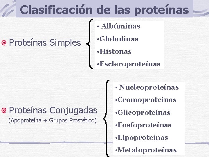 Clasificación de las proteínas • Albúminas Proteínas Simples • Globulinas • Histonas • Escleroproteínas