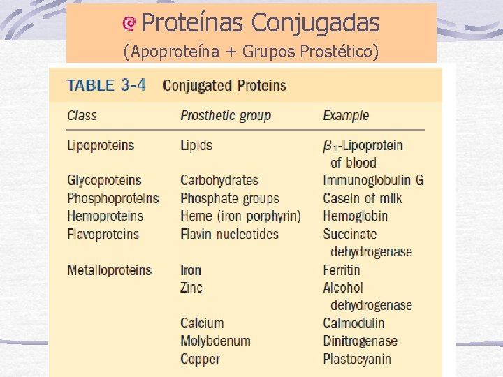 Proteínas Conjugadas (Apoproteína + Grupos Prostético) 