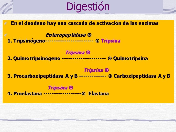 Digestión En el duodeno hay una cascada de activación de las enzimas Enteropeptidasa 1.