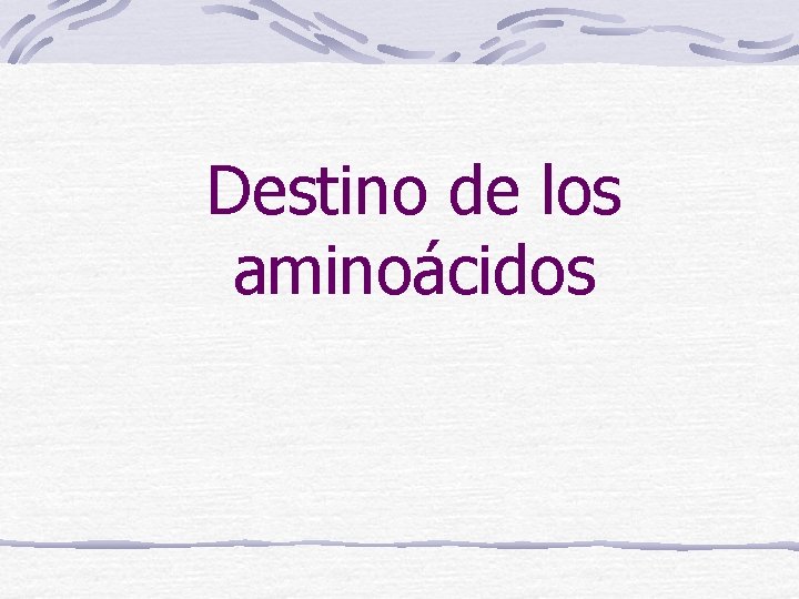 Destino de los aminoácidos 