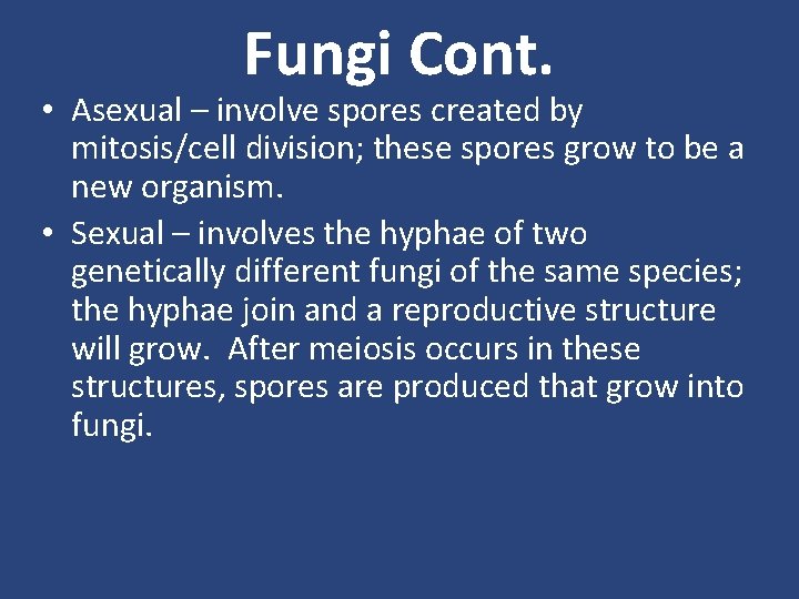 Fungi Cont. • Asexual – involve spores created by mitosis/cell division; these spores grow