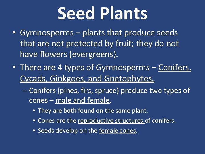 Seed Plants • Gymnosperms – plants that produce seeds that are not protected by