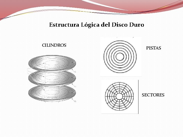Estructura Lógica del Disco Duro CILINDROS PISTAS SECTORES 