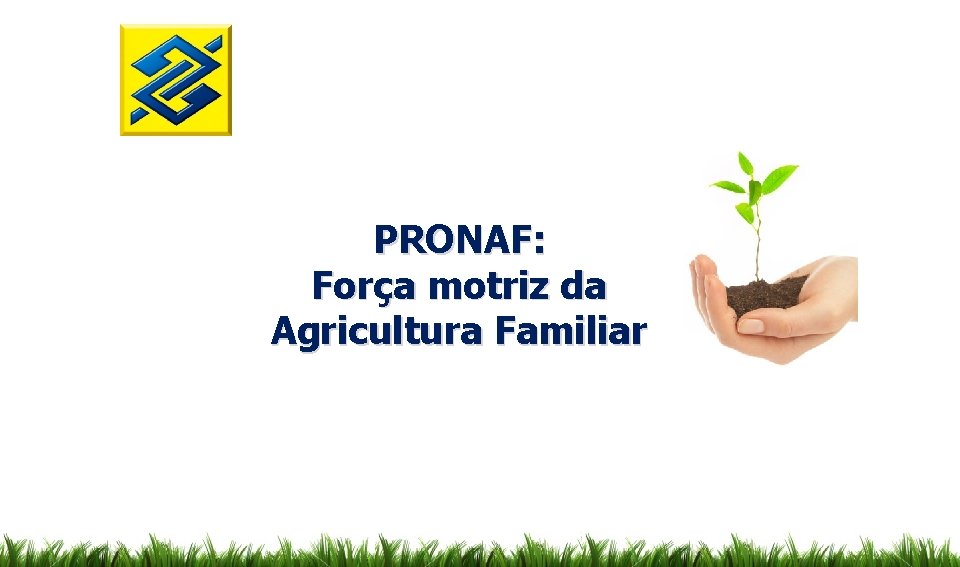 PRONAF: Força motriz da Agricultura Familiar 
