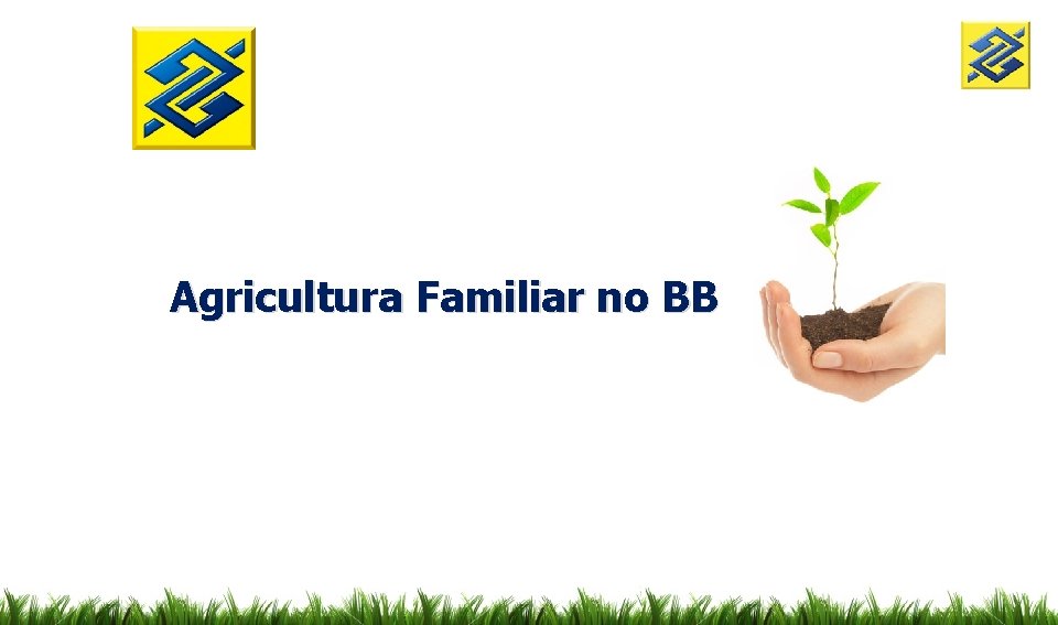 Agricultura Familiar no BB 