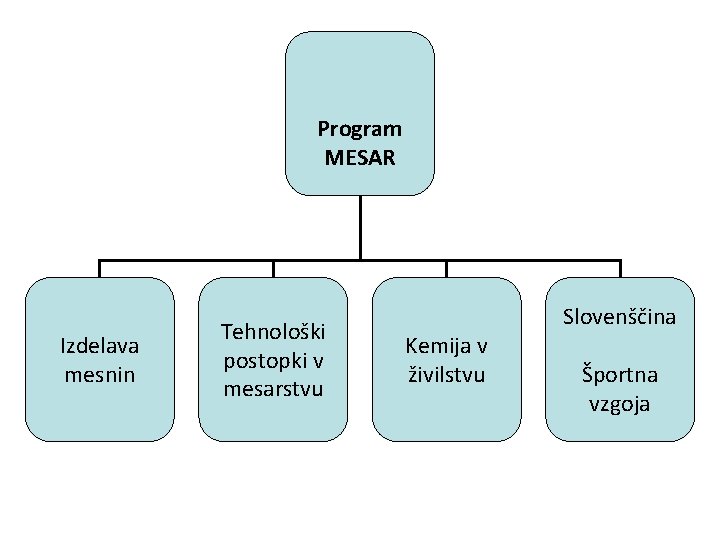 Program MESAR Izdelava mesnin Tehnološki postopki v mesarstvu Kemija v živilstvu Slovenščina Športna vzgoja