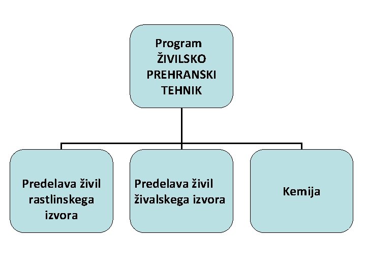 Program ŽIVILSKO PREHRANSKI TEHNIK Predelava živil rastlinskega izvora Predelava živil živalskega izvora Kemija 